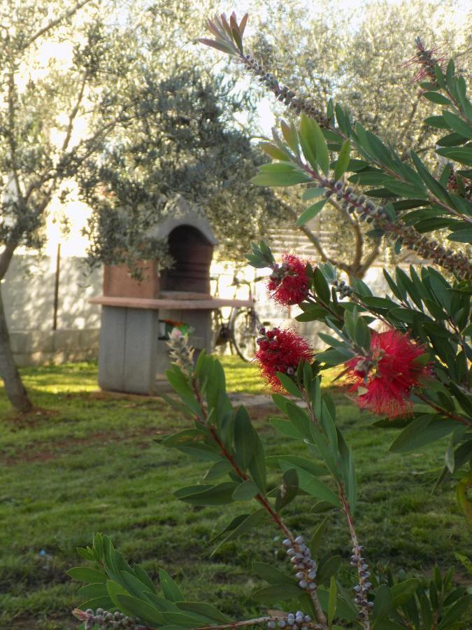 Twins Villa Rosini Ngoại thất bức ảnh